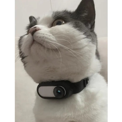 Wireless Pet Collar Camera - Indoor & Outdoor Recording for Cats and Dogs | ZanziZest