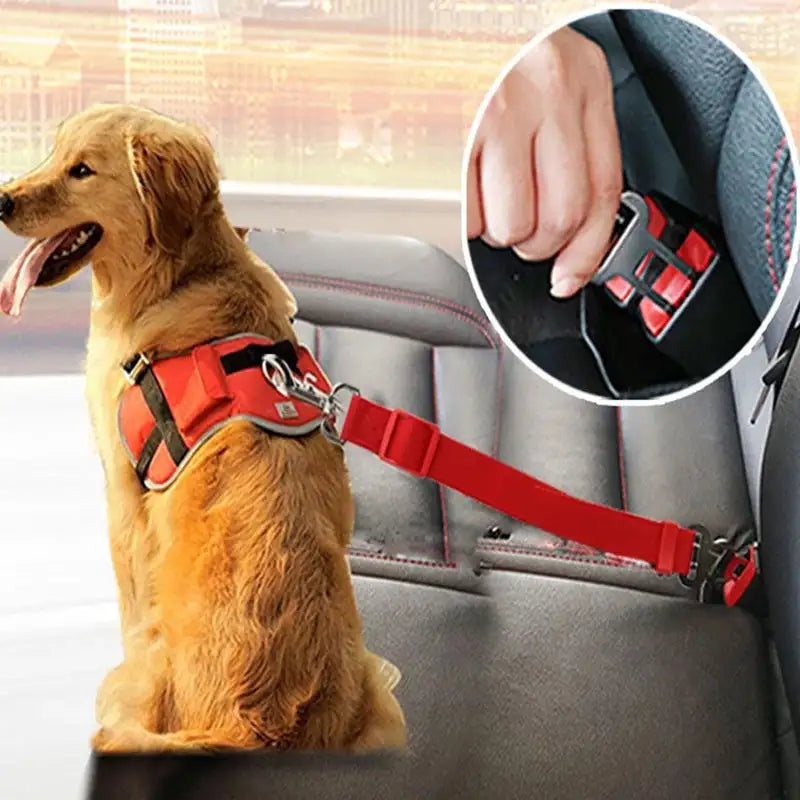 Telescopic Traction Rope For Pet Car Seat Belt | ZanziZest