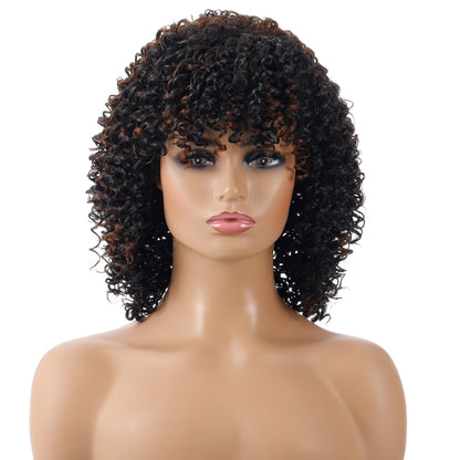 WIG-T130H Ladies Short Curly Hair High Temperature Silk Wig Chemical Fiber Headgear(Black Brown) | ZanziZest