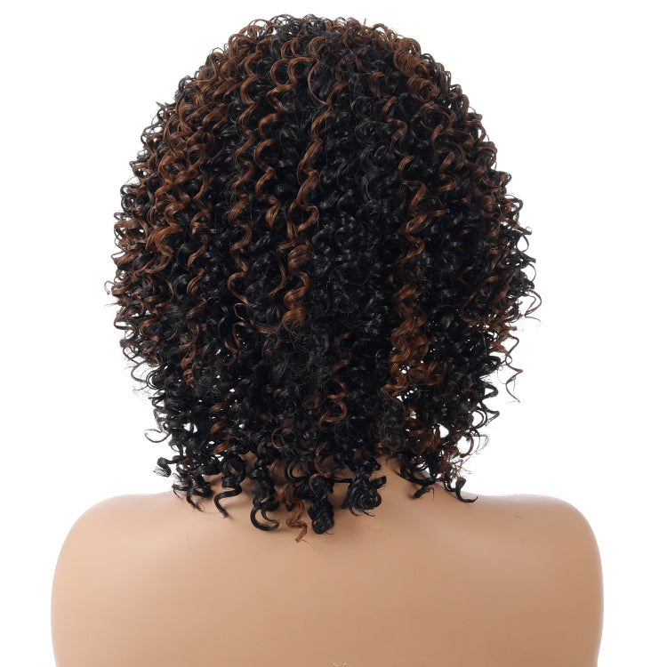 WIG-T130H Ladies Short Curly Hair High Temperature Silk Wig Chemical Fiber Headgear(Black Brown) | ZanziZest