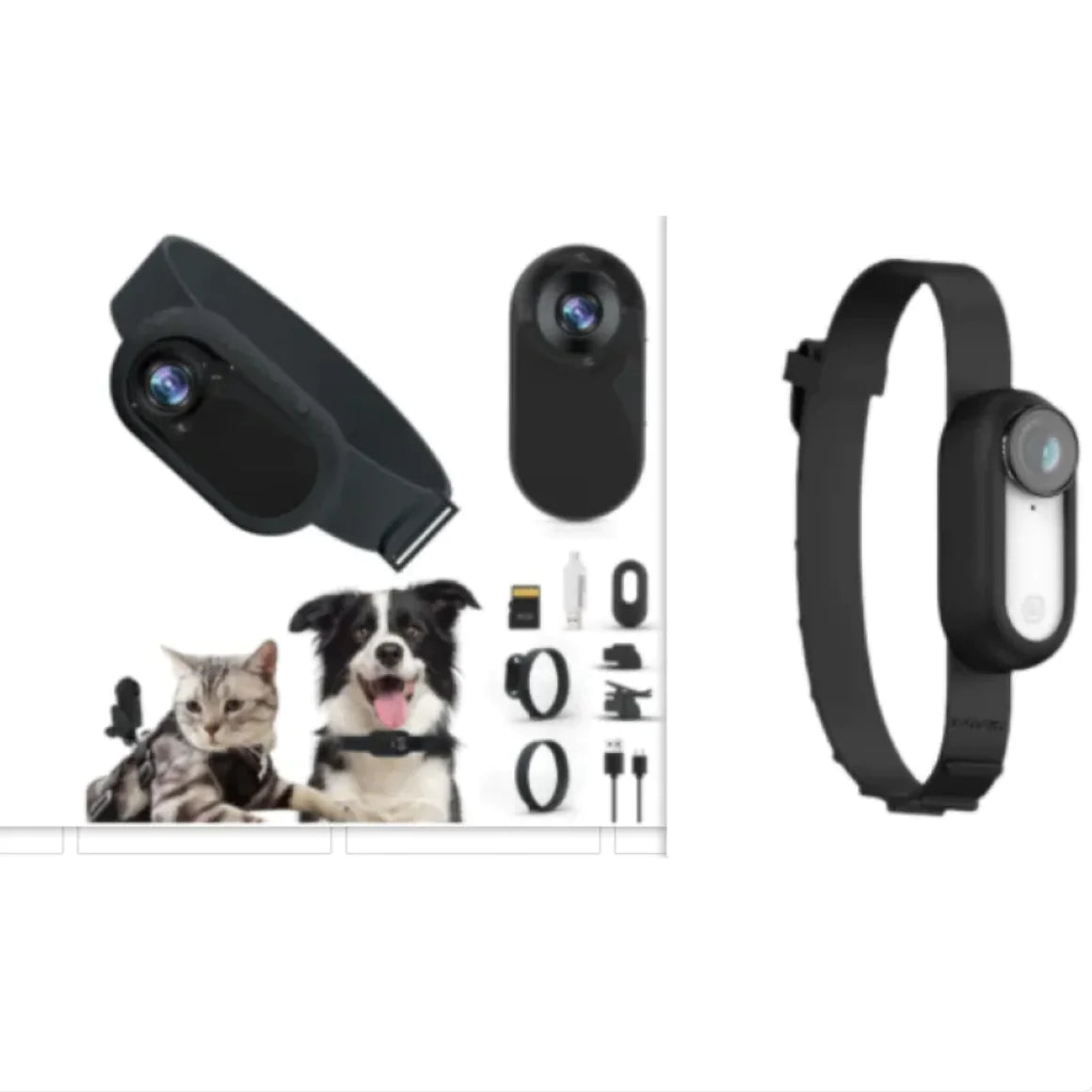 Wireless Pet Collar Camera - Indoor & Outdoor Recording for Cats and Dogs | ZanziZest