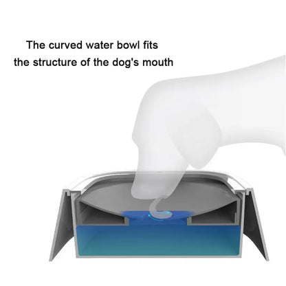 No-Spill Pet Water Bowl | ZanziZest