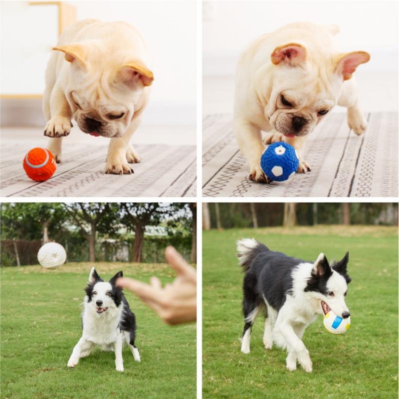 Squeaky Dog Toys | ZanziZest