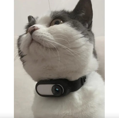 Wireless Pet Collar Camera - Indoor & Outdoor Recording for Cats and Dogs | ZanziZest