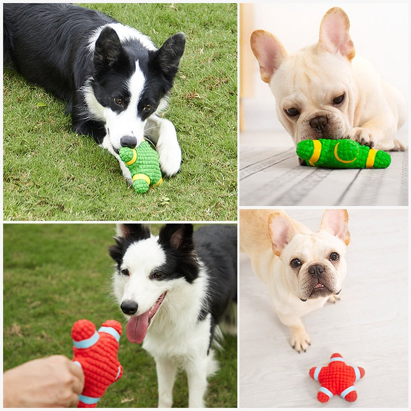 Squeaky Dog Toys | ZanziZest