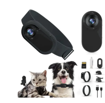 Wireless Pet Collar Camera - Indoor & Outdoor Recording for Cats and Dogs | ZanziZest