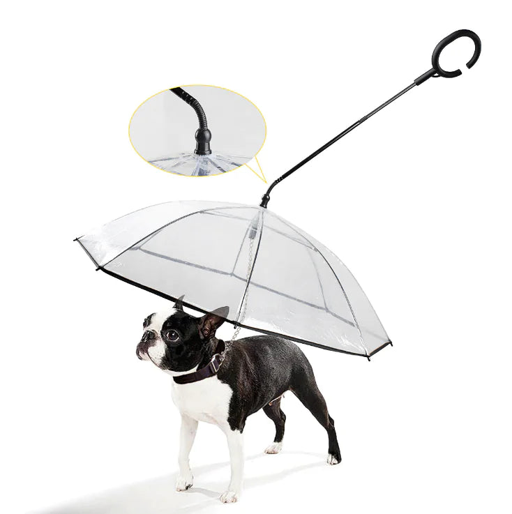 Transparent Pet Umbrella | ZanziZest